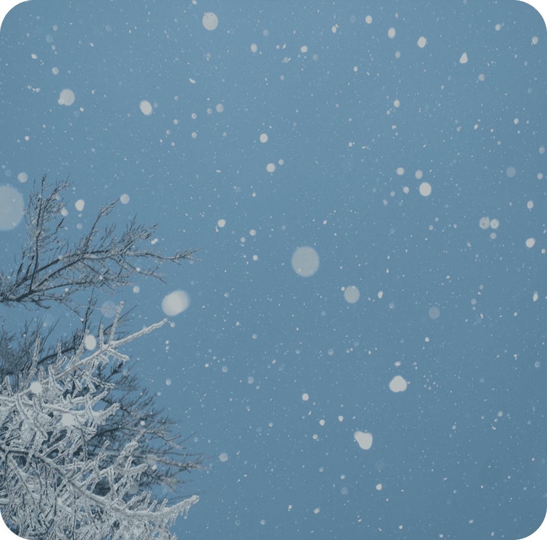 Premium Technologies project